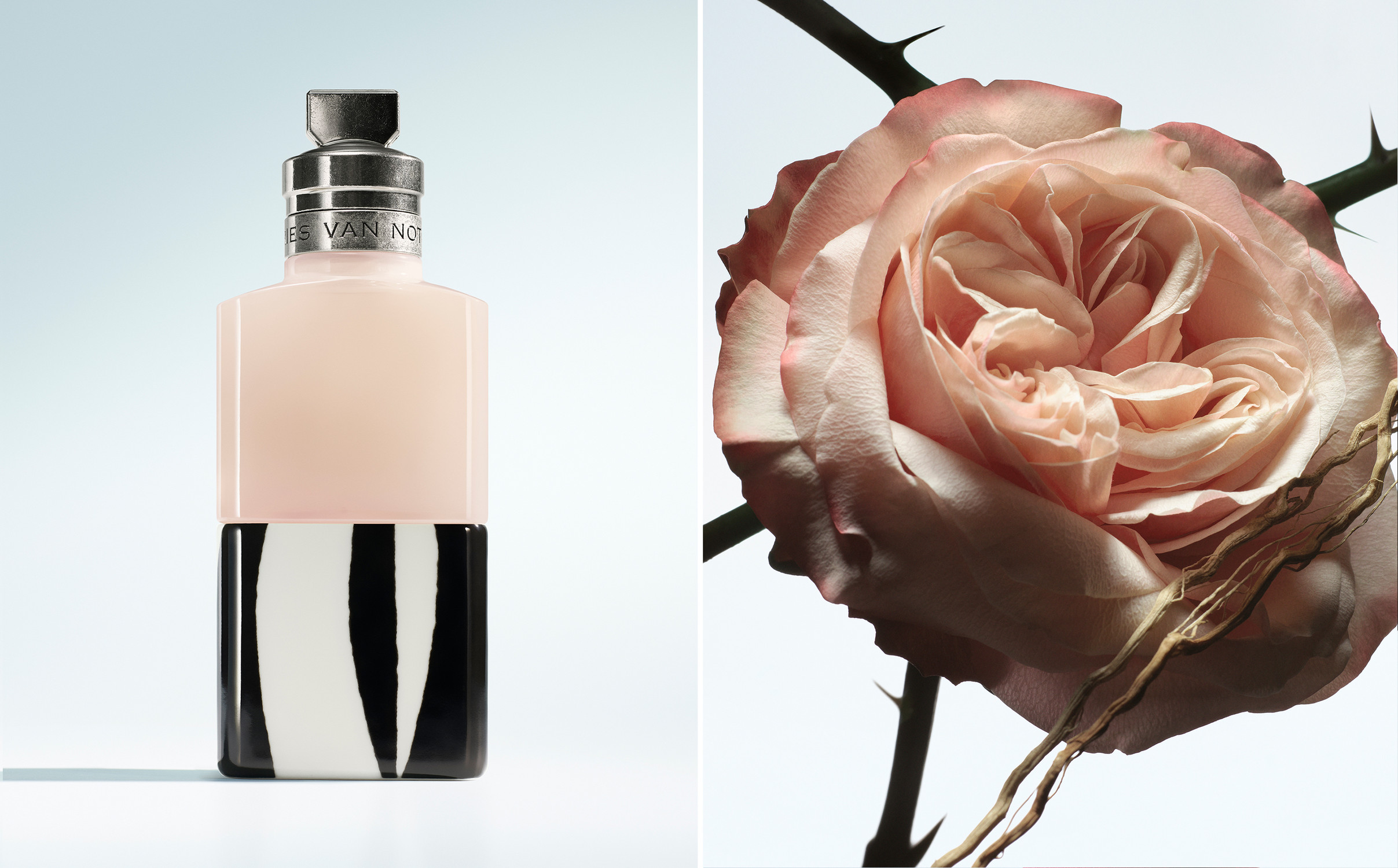 Dries Van Noten The New Eaux de Parfum, sHOT BY JEAN-MARIE BINET - © artifices