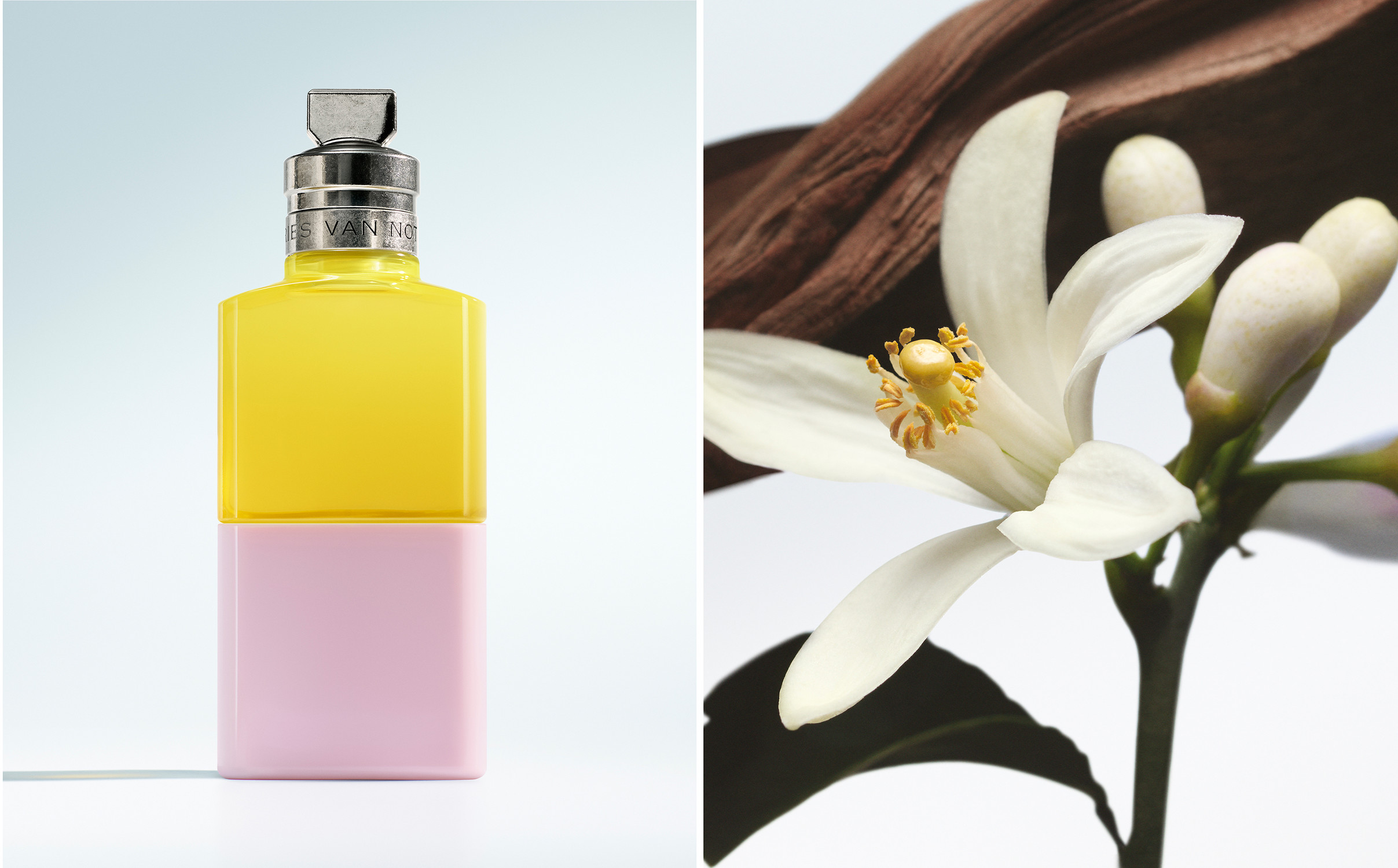 Dries Van Noten The New Eaux de Parfum, sHOT BY JEAN-MARIE BINET - © artifices